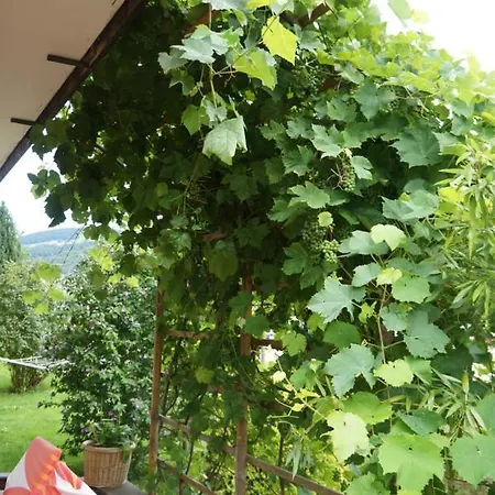 Bed & Breakfast Klimesch 3*