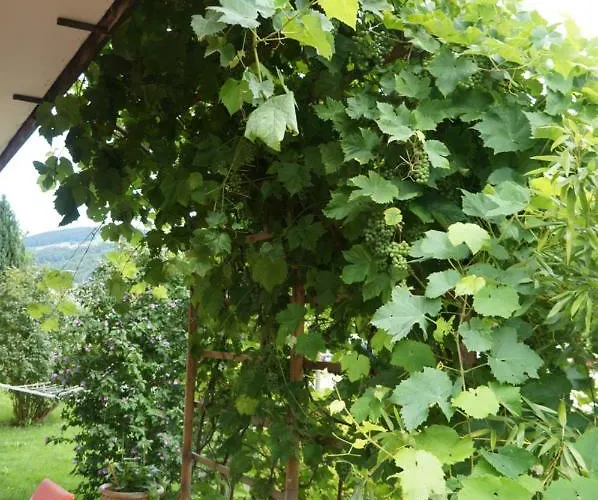 Bed & Breakfast Klimesch 3*